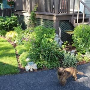 Meet your Posher, Mike